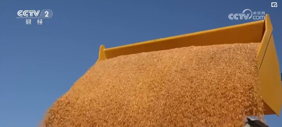 1704790458930198.png 圖片1.png